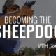 Becoming the Sheepdog