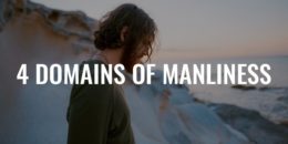 4 Domains of Manliness