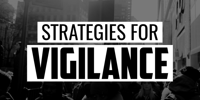 Strategies for Vigilance | FRIDAY FIELD NOTES