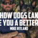 How Dogs Can Make You a Better Man | MIKE RITLAND