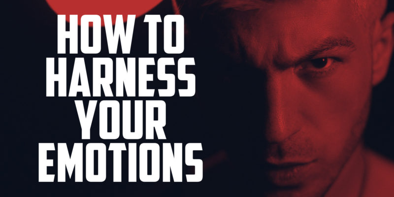 How to Harness Your Emotions | FRIDAY FIELD NOTES